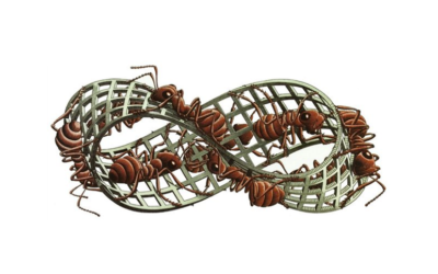 Cartel: Anxiety as pure cut